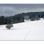 auch der nächste Winter kommt