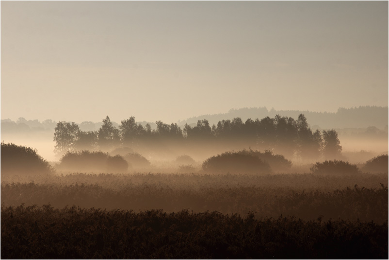 auch der Nebel hat seinen Charme