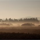 auch der Nebel hat seinen Charme