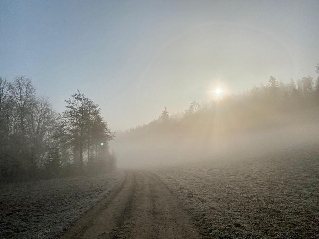 Auch der Nebel kann schön sein