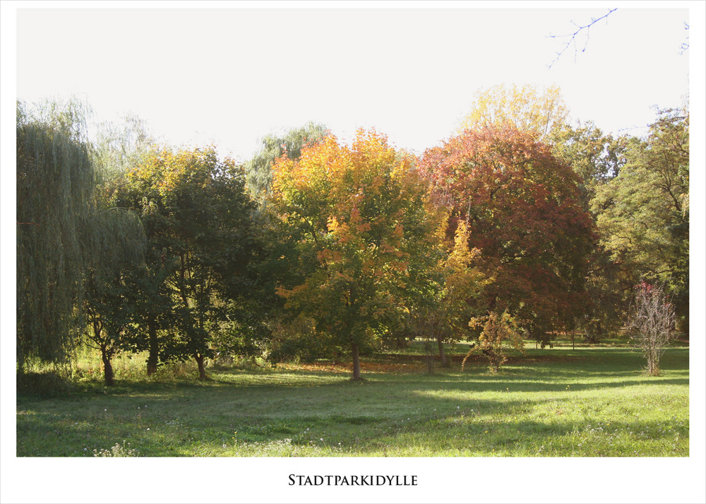 Auch der November hat schöne Tage...