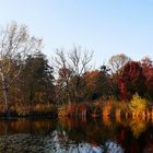 Auch der November kann schön sein