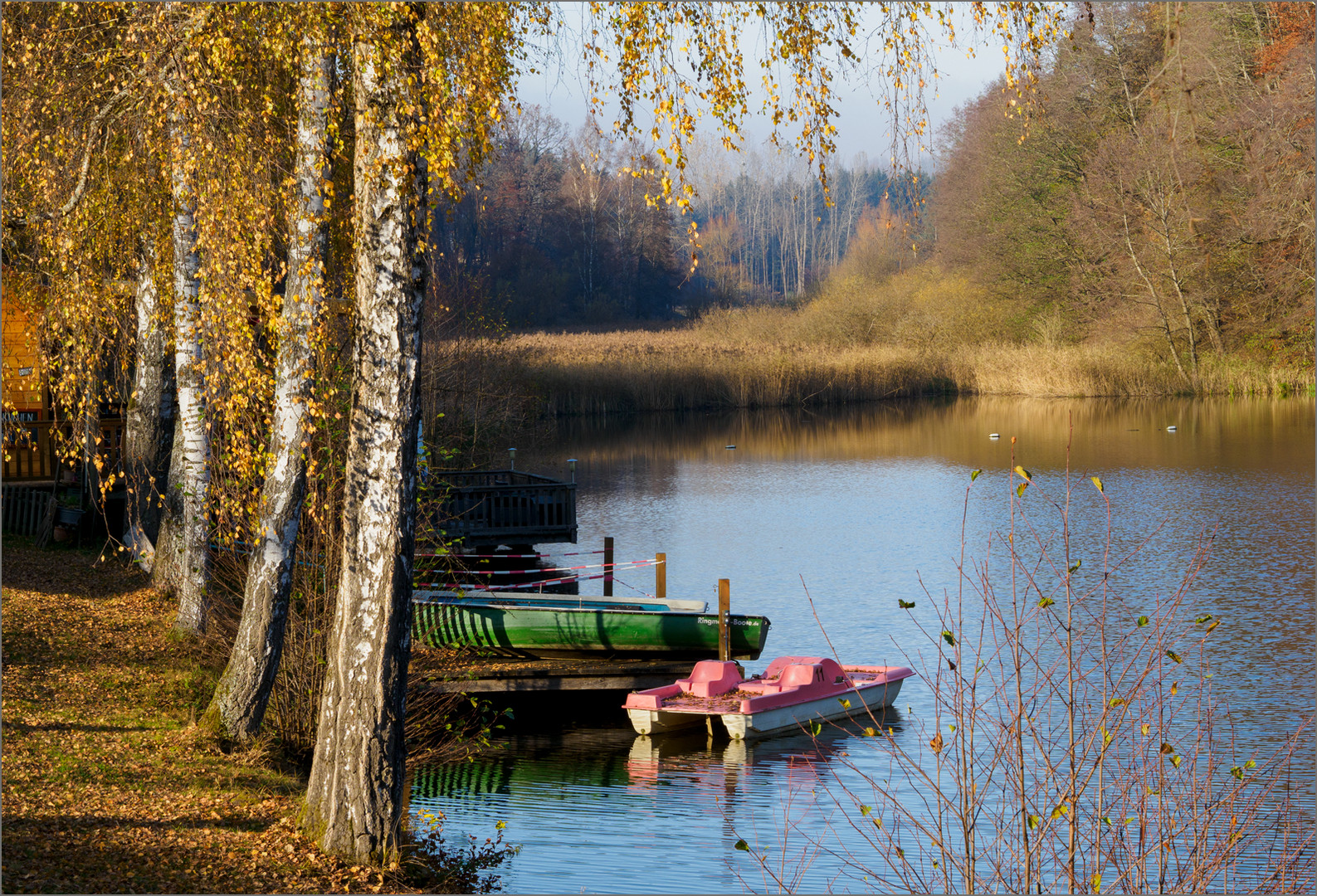 Auch der November kann sonnig.