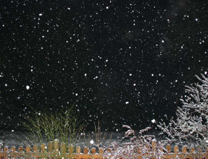 Auch der Odenwald versinkt im Schnee