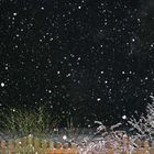 Auch der Odenwald versinkt im Schnee