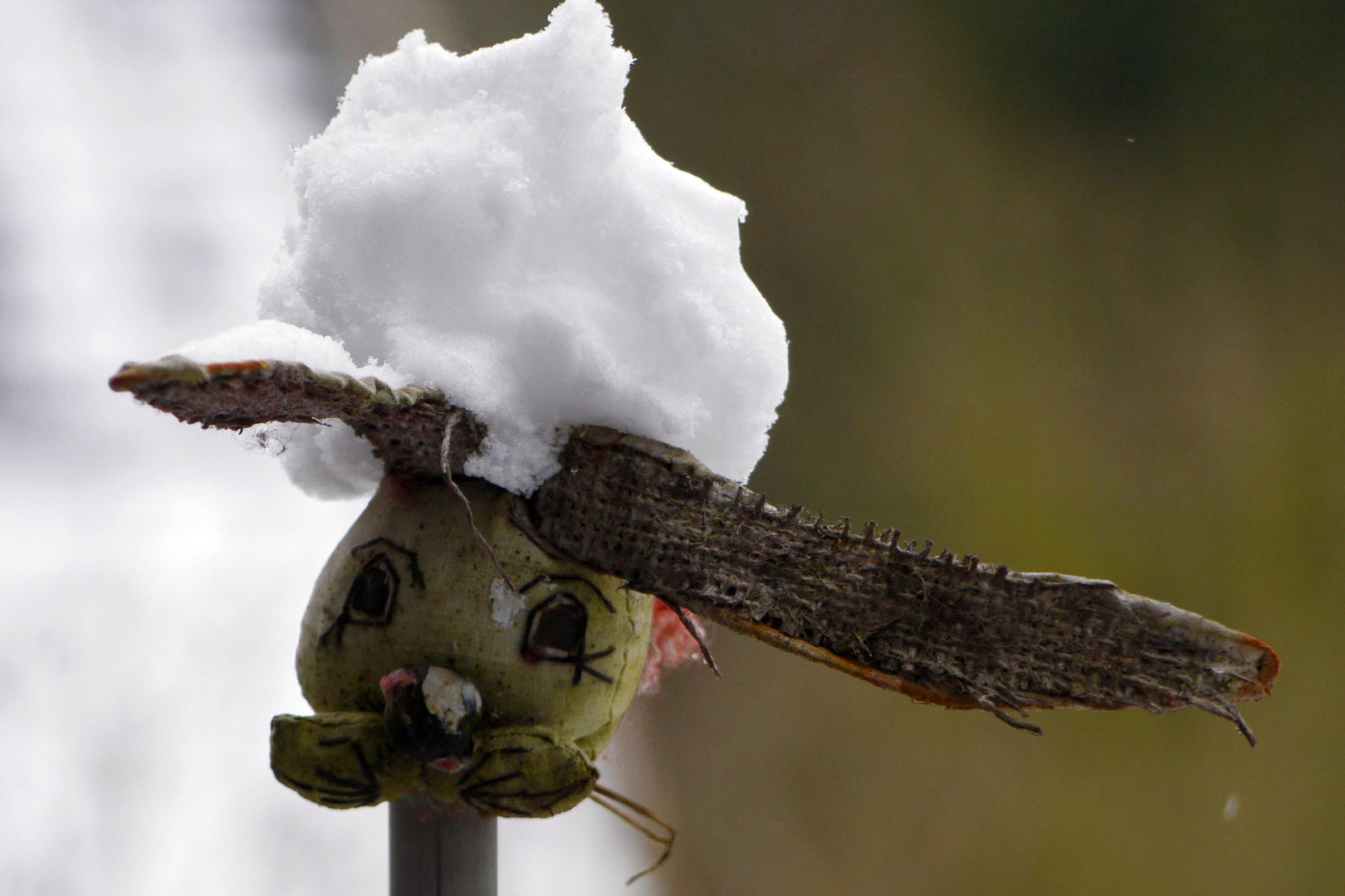 auch der Osterhase hat es nicht leicht.