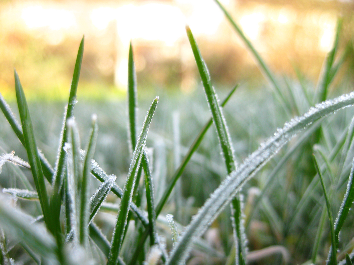 auch der Winter hat schöne Seiten