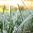 auch der Winter hat schöne Seiten