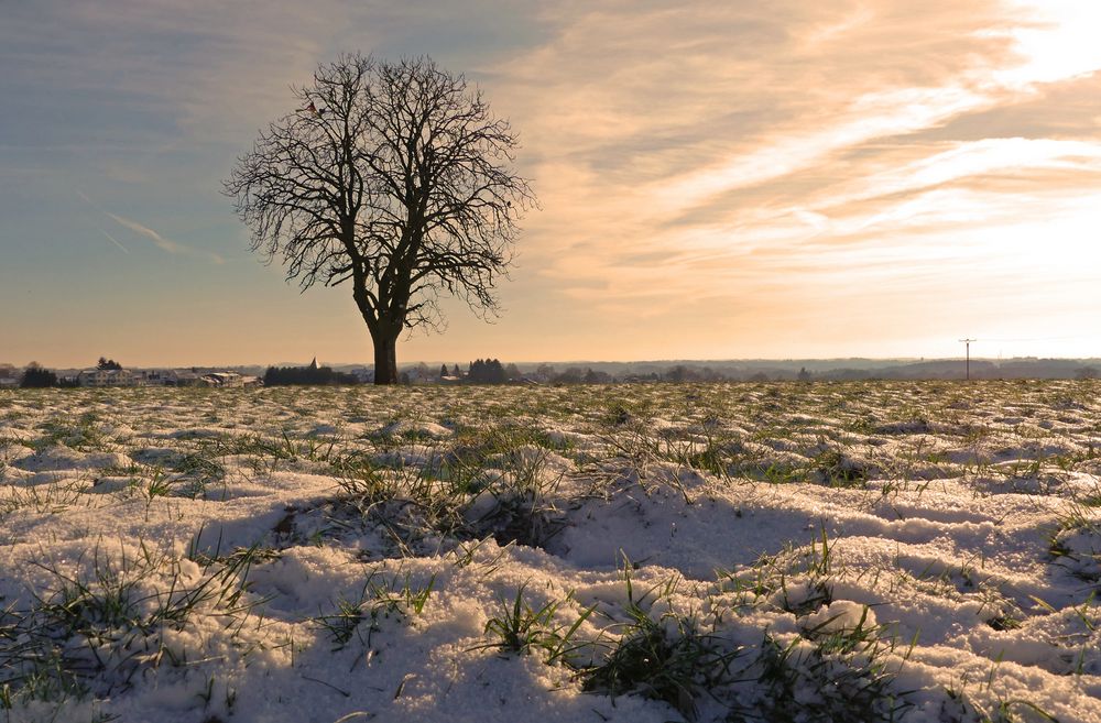 Auch der Winter hat schöne Seiten