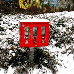 Auch der Winter hat seine Farben - Version II von "ROT"