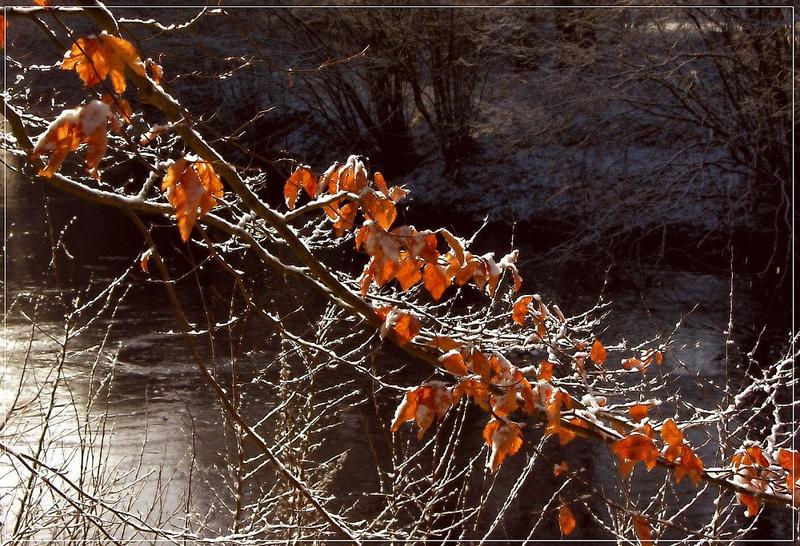 Auch der Winter hat seine schönen Seiten