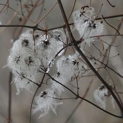 Auch der Winter hat seine schönen Seiten