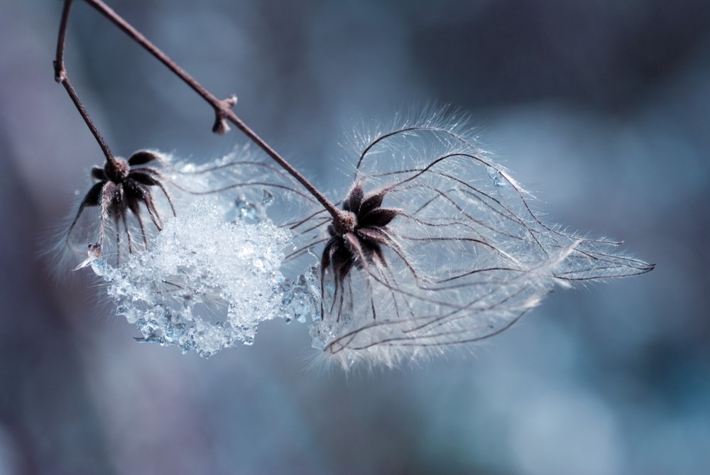 auch der Winter hat seine Schönheiten