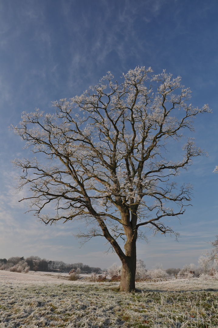 AUCH DER WINTER IST LEICHT UND FARBIG.