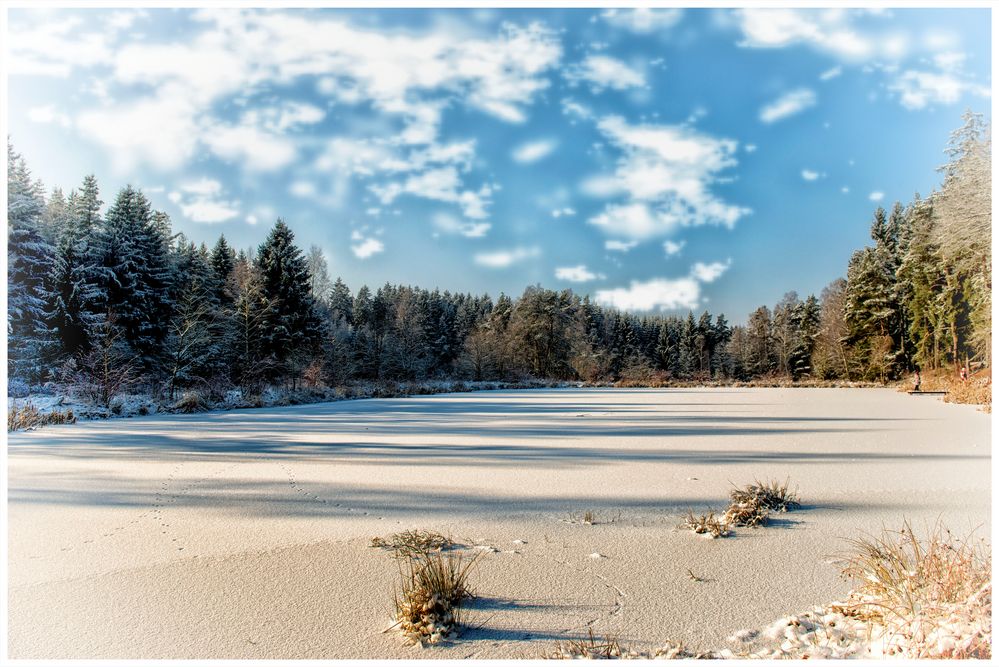 Auch der Winter ist schön am  Triebischsee