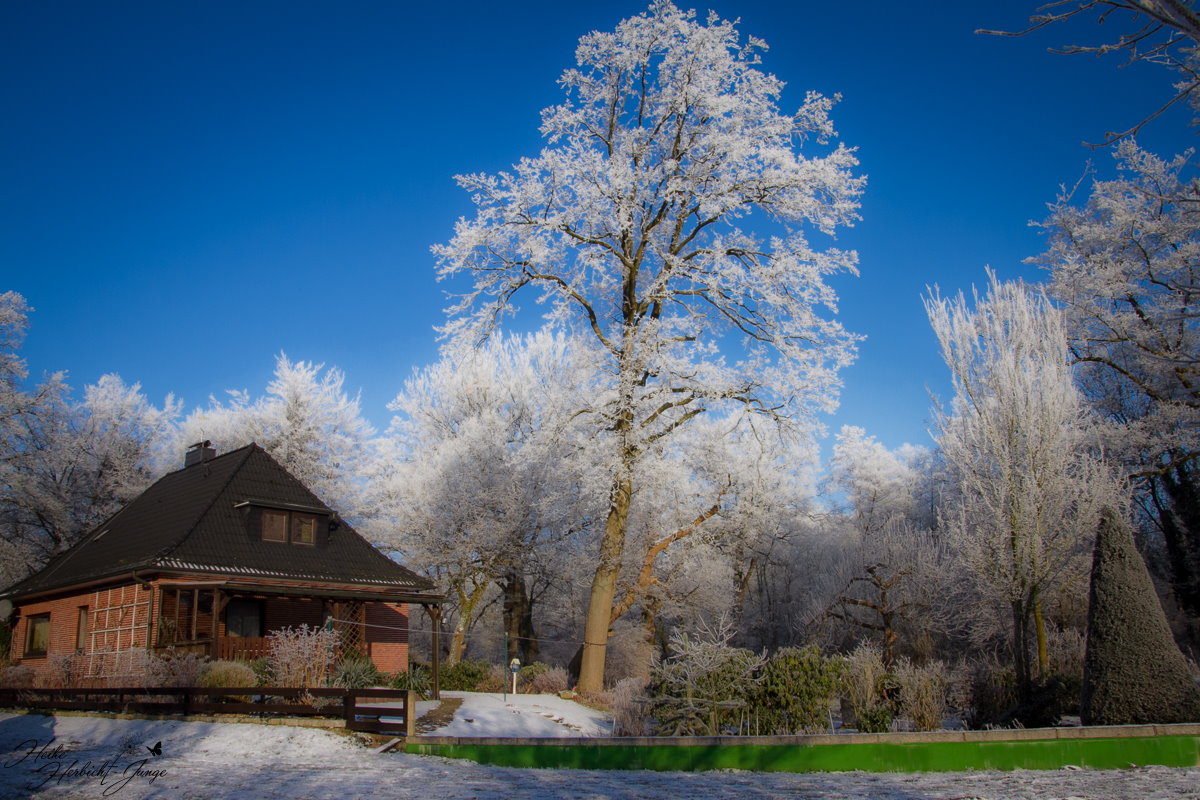 Auch der Winter kann bunt sein