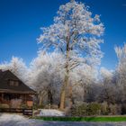 Auch der Winter kann bunt sein