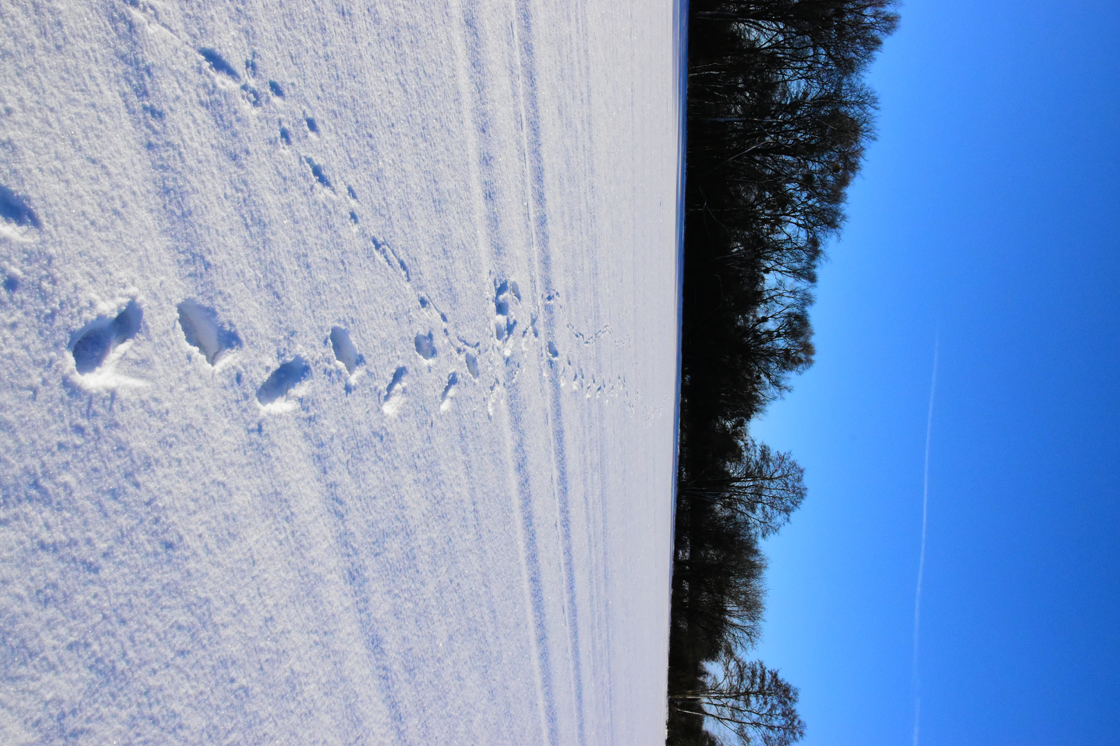 Auch der Winter kann schön sein .