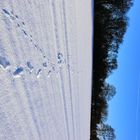 Auch der Winter kann schön sein .