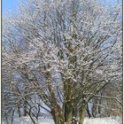 Auch der Winter kann schön sein