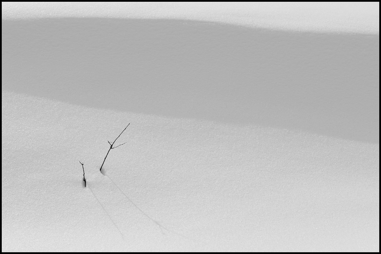 ***  auch der winter wirft seine schatten   ***