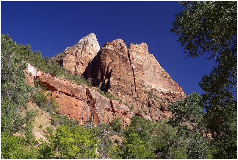 Auch der Zion NP ist eine Reise wert.