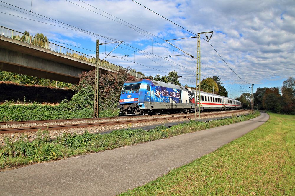 Auch die Adler waren am 09.10.2014 zu sehen......