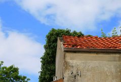 auch die Energieversorgung besteht nicht mehr oder mal wieder die Natur