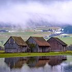 Auch die Junge Donau hält es nicht in ihrem Bett ....