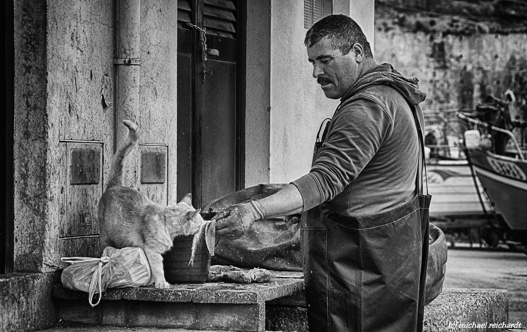 Auch die Katze möchtet Fisch Fischer in Erice Ira Portugal