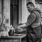 Auch die Katze möchtet Fisch Fischer in Erice Ira Portugal