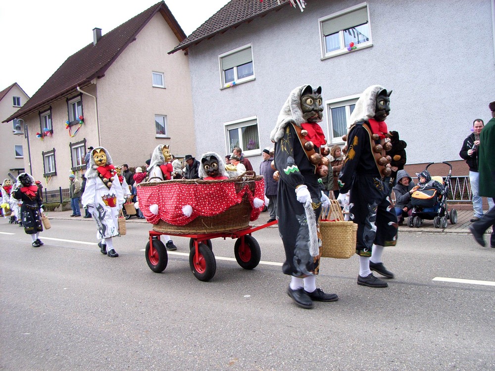 auch die kleinen Kätzchen wollen mit . . .