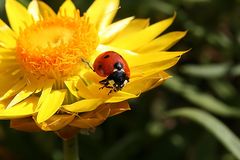 auch die kleinsten geniessen die sonne