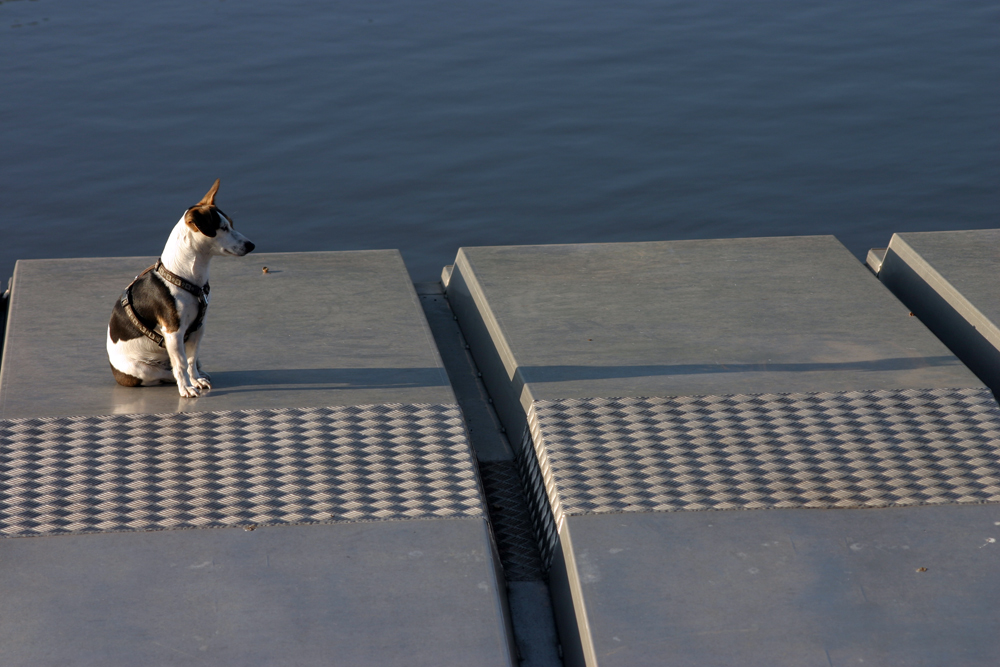 auch die Morgensonne wirft lange Schatten