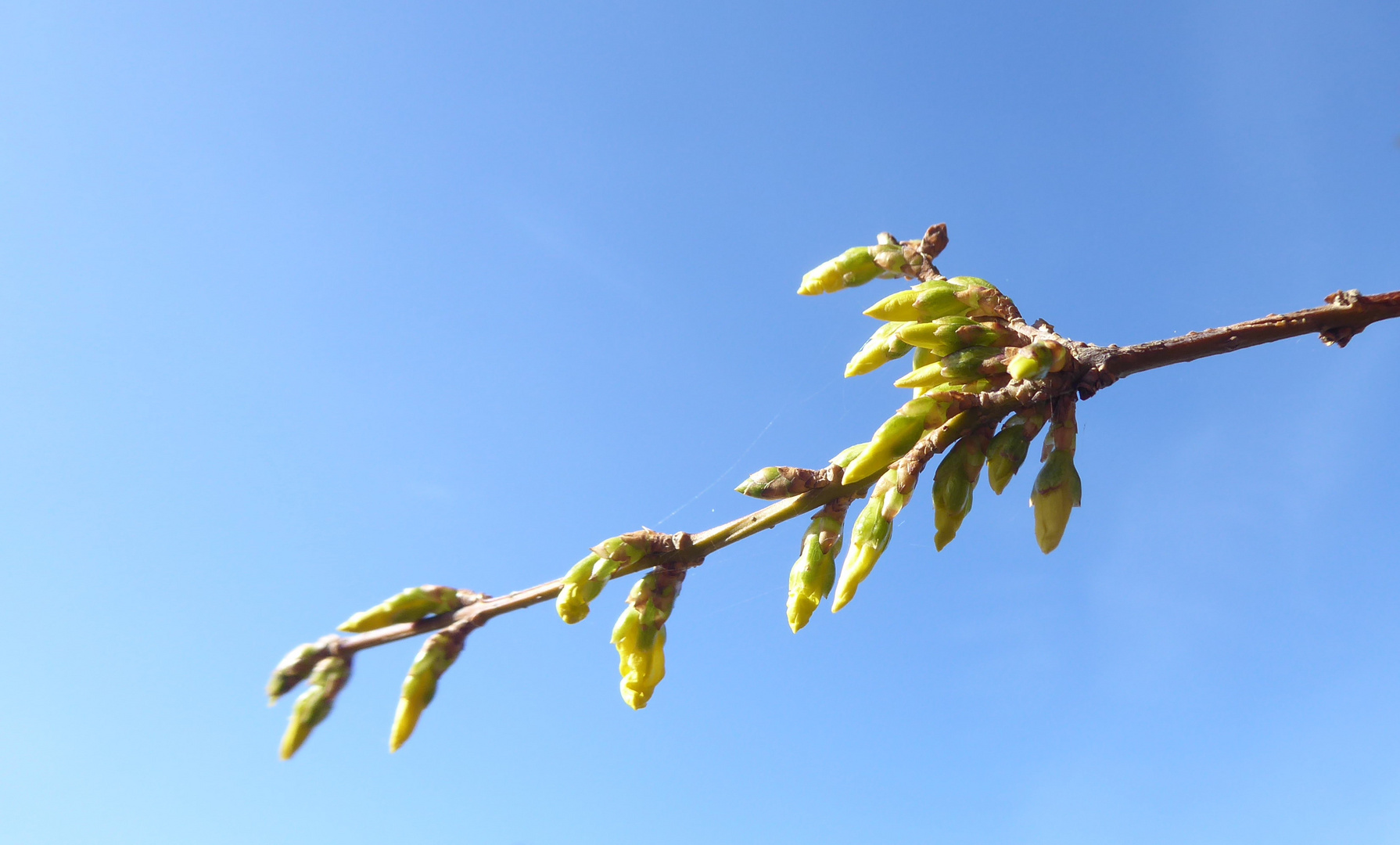 Auch die Natur zeigt Haltung