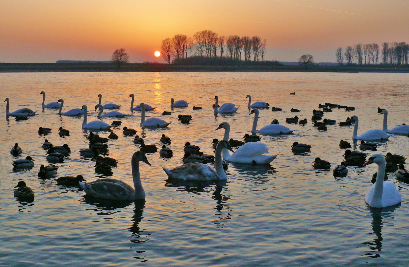 Auch die Tiere freuen sich über das schöne Wetter