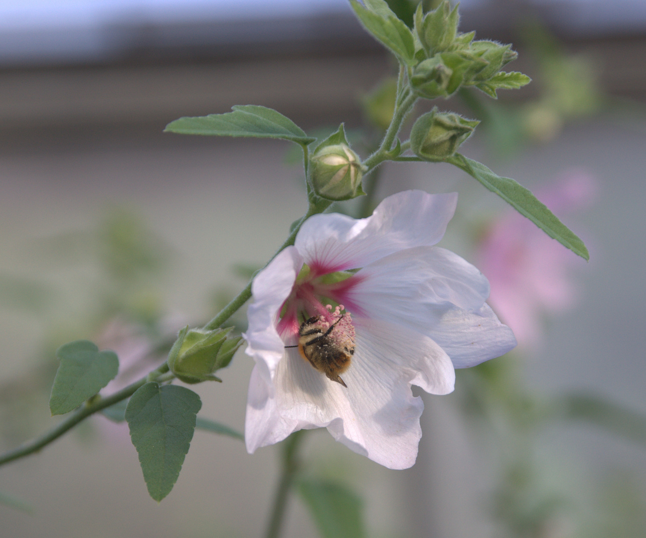 Auch die tierische Biergartensaison neigt sich dem Ende zu...