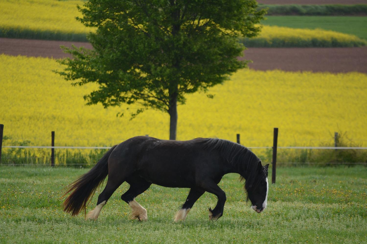 Auch die Tochter freut sich über das Gras :-)