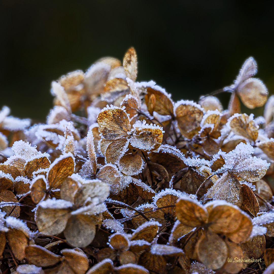 Auch die Winterzeit 