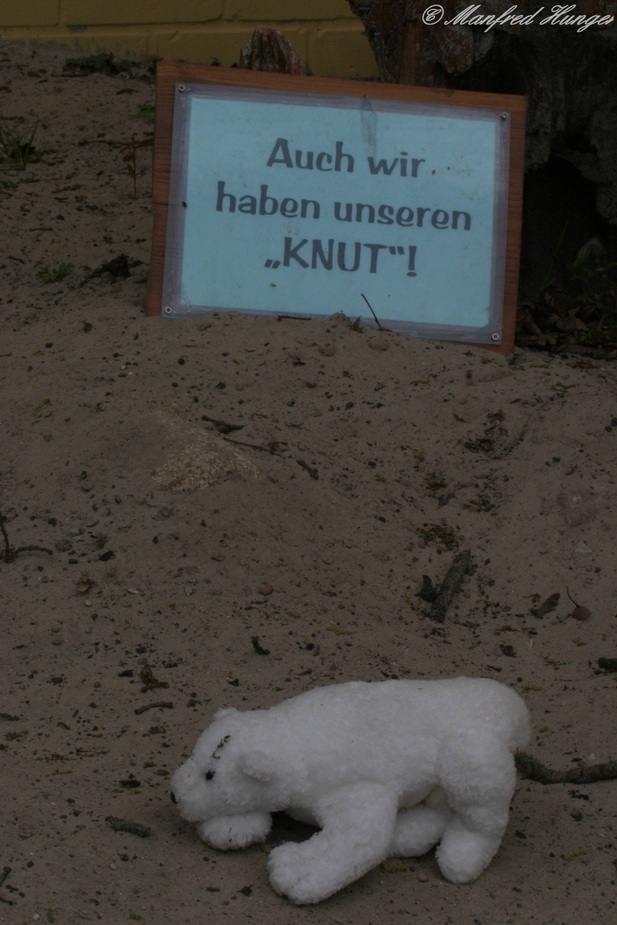 Auch dieser Tierpark hat seinen Knut :-))