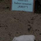 Auch dieser Tierpark hat seinen Knut :-))