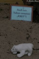 Auch dieser Tierpark hat seinen Knut :-))