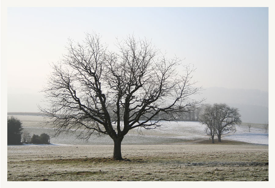 Auch dieser Winter endet im Frühling