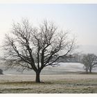 Auch dieser Winter endet im Frühling