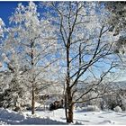 Auch dieser winterliche Traum geht einmal zu Ende 