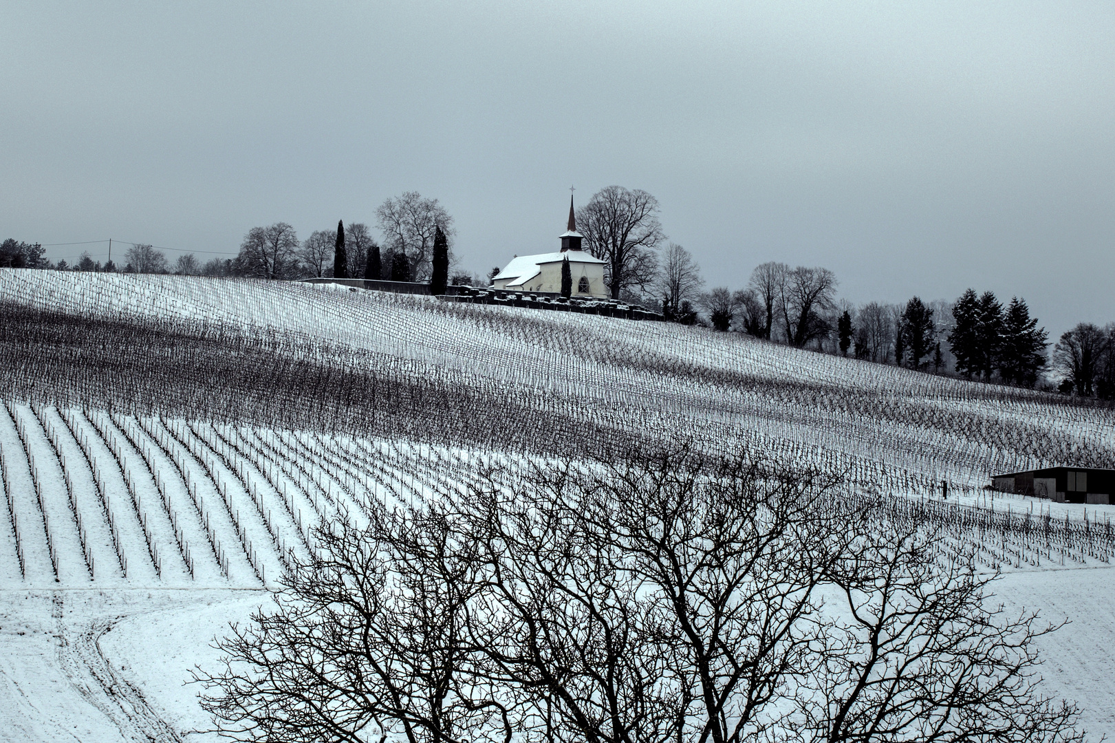 Auch dort kam der Winter noch