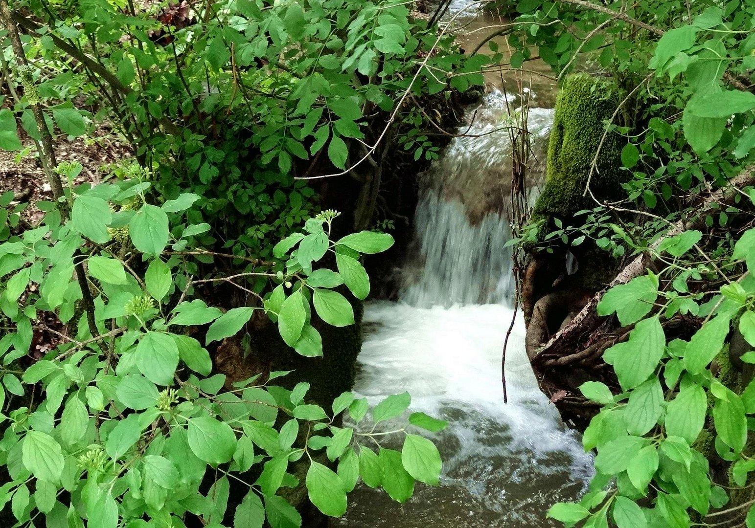 Auch ein Bach kann einen Wasserfall haben