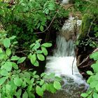 Auch ein Bach kann einen Wasserfall haben