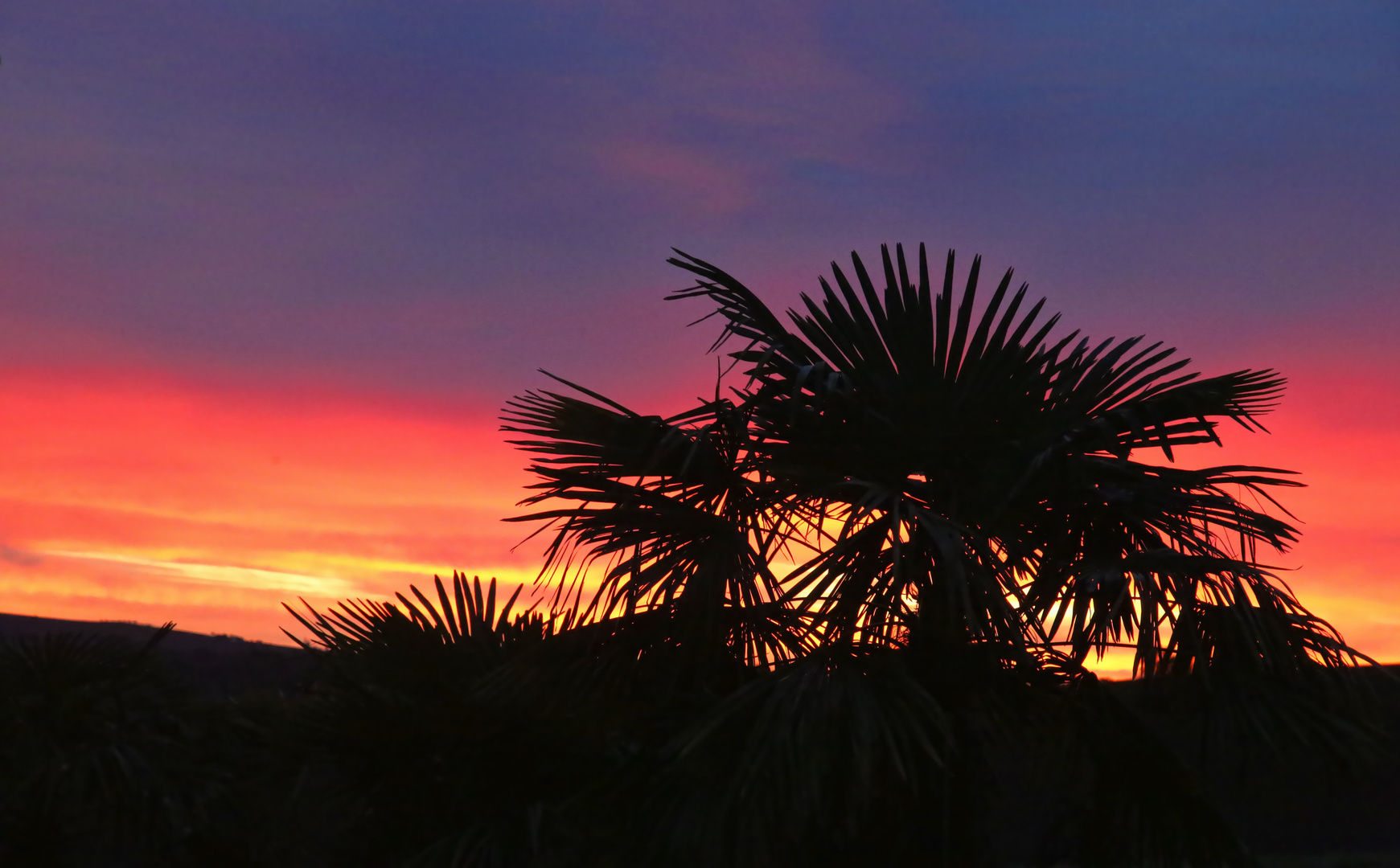 auch ein blauer Montag beginnt mit Morgenrot...