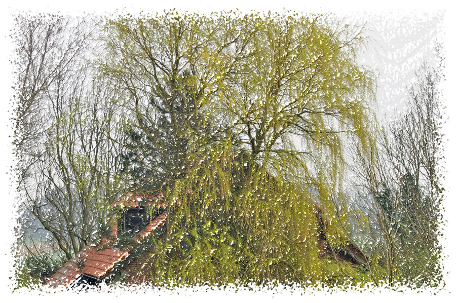 Auch ein dürrer Baum belebt die Landschaft